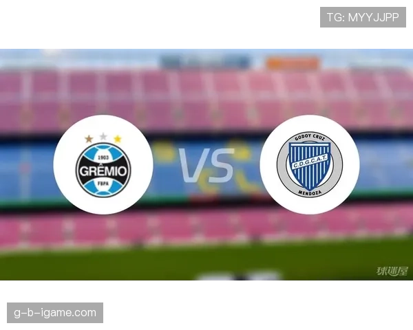 南美足球联赛数据分析揭示球队竞争力提升新趋势