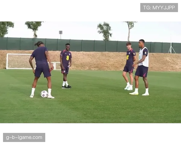 帕尔默是否具备成为英格兰队未来核心的战术素养与比赛影响力？